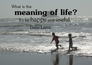 ... is the meaning of life? To be happy and useful. H.H. the Dalai Lama