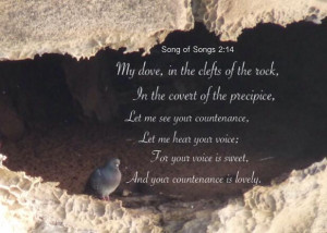 14 My dove, in the clefts of the rock, In the covert of the precipice ...