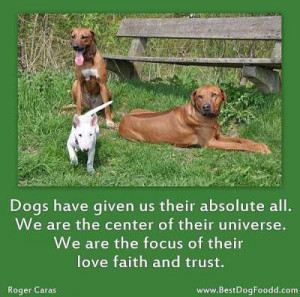 dogs-love-quotes and Dog Sayings