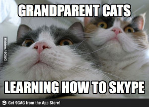 Grandparent Cats Learning How To Skype
