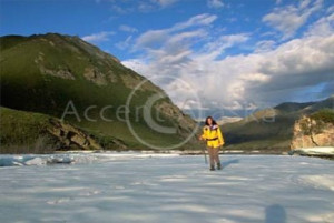 Anwr Loon Alaska Travel Photos