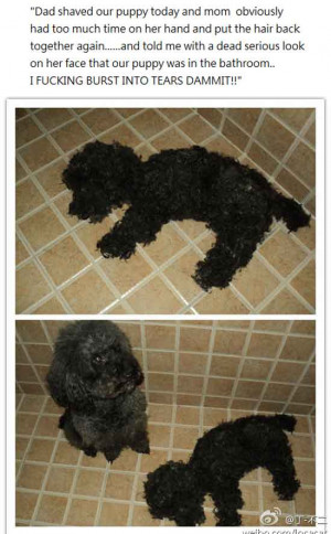 SIGN UP FOR THE NEW UBERHUMOR NEWSLETTER