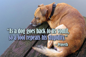 Inspirational Quote: “As a dog goes back to its vomit, so a fool ...