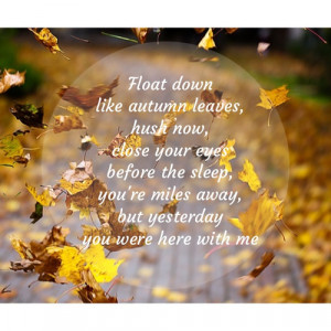 Autumn leaves by Ed Sheeran
