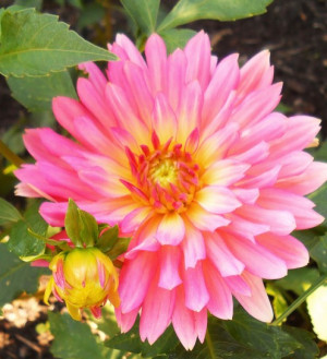 ... day is no match for a sunny disposition. 