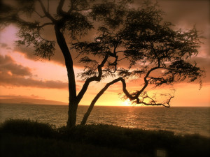 Positive Affirmation - Let Go Of Bitterness And Forgive