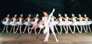 Swan Lake and gender perceptions