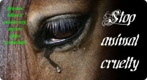 Against Horse Slaughter! Stop The Pain