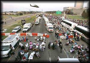 Huge crowds mobbed the evacuation buses as military helicopters flew ...
