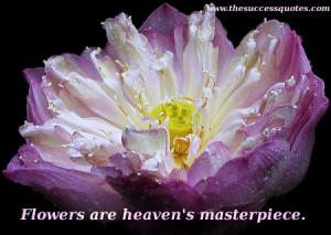 Flowers are heaven’s masterpiece- Flower Quote.