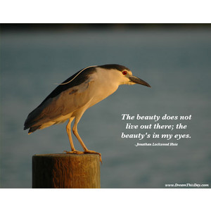 Like it to save to your profile