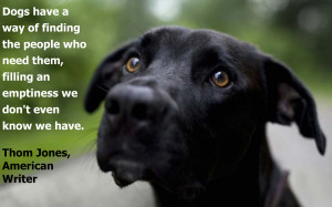 dog quote