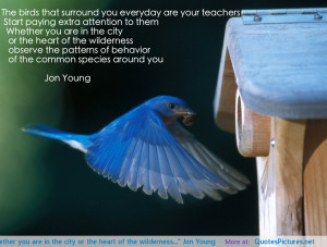 …” Jon Young motivational inspirational love life quotes sayings ...