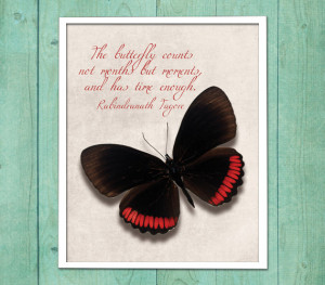 Wall art quote - Butterfly Quote, printable quote, art wall, art decor ...