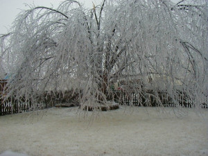 Source Url Ice Storm Flickr