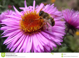 Funny Quotes Contact Us DMCA Notice