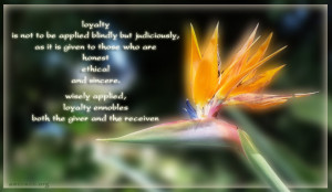 royalty-quotes-loyalty-is-not-to-be-applied-blindly-quotes.jpg