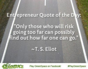 Entrepreneur quote about risk taking