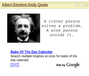 Albert Einstein Daily Quote ( widgets.tropicalpcsolutions.com )