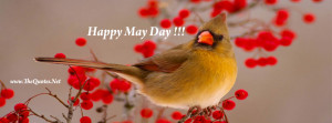 Tags: May Day Birds Famous
