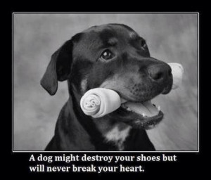 Cute dog quote