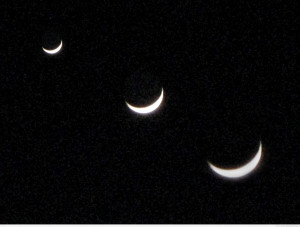 Strangling Quotes 4 strangling Quotes 4