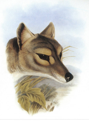 John Gould