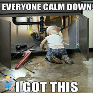 Famous Plumbing Quotes And Jokes