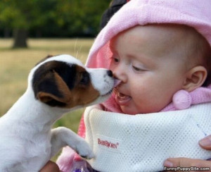 Puppy_Vs_Baby