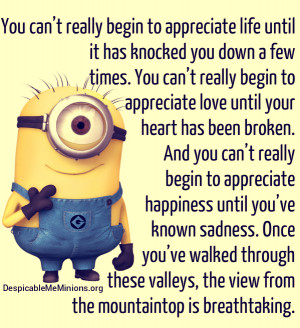 Minion-Quotes-You-cant-appreciate-life-until.jpg