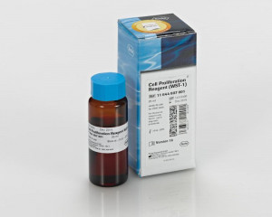 mtt cell proliferation assay protocols mtt assay of cellular