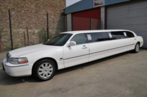 Lincoln Blanche By Royale 120 quot New model
