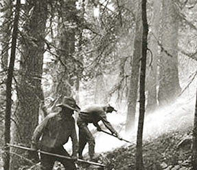 Two men building fireline on smoky forest hillside. Courtesy of USDA ...
