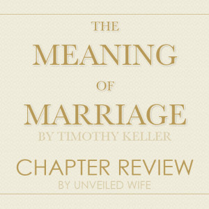 the-meaning-of-marriage-tn1.jpg