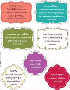 Downloads for Nature Quotes and Journaling Blocks - CK Summer Camp ...