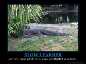 art comedy demotivational poster lol gator making art quote of the ...