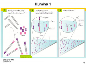 Next Generation Sequencing Illumina