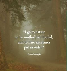 John Burroughs Quote - Nature More