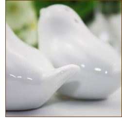 love bird salt and pepper shakers wedding favour