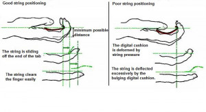 Charter Member Traditional Archery Society