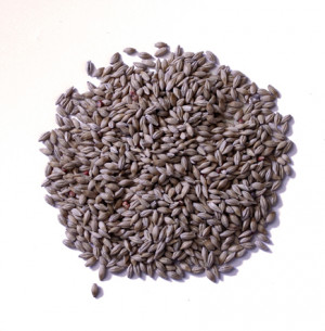 malt barley ingredients components get a quote contact us with an ...