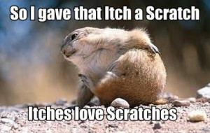 So i gave that itch a scratch