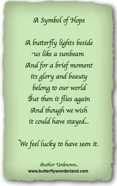 Butterfly Poems & Quotes