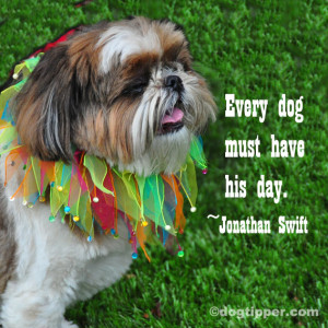 The Quotable Dog: Famous Quotes about Dogs