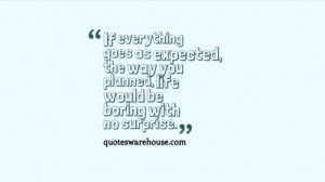 If everything goes as expected, the way you planned, life would be ...