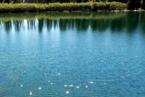 of quiet, like the trout`s brief in-breath at the surface of a river ...