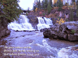 isaiah-40-8-verse-for-autumn-or-fall.jpg