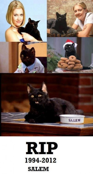 There were two cats on the show and the one that was real died :( so ...