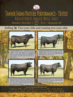 CATTLE TODAY/Ranchers.net Newsletter for November 2010