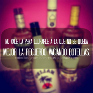 caballos-y-un-buen-charro